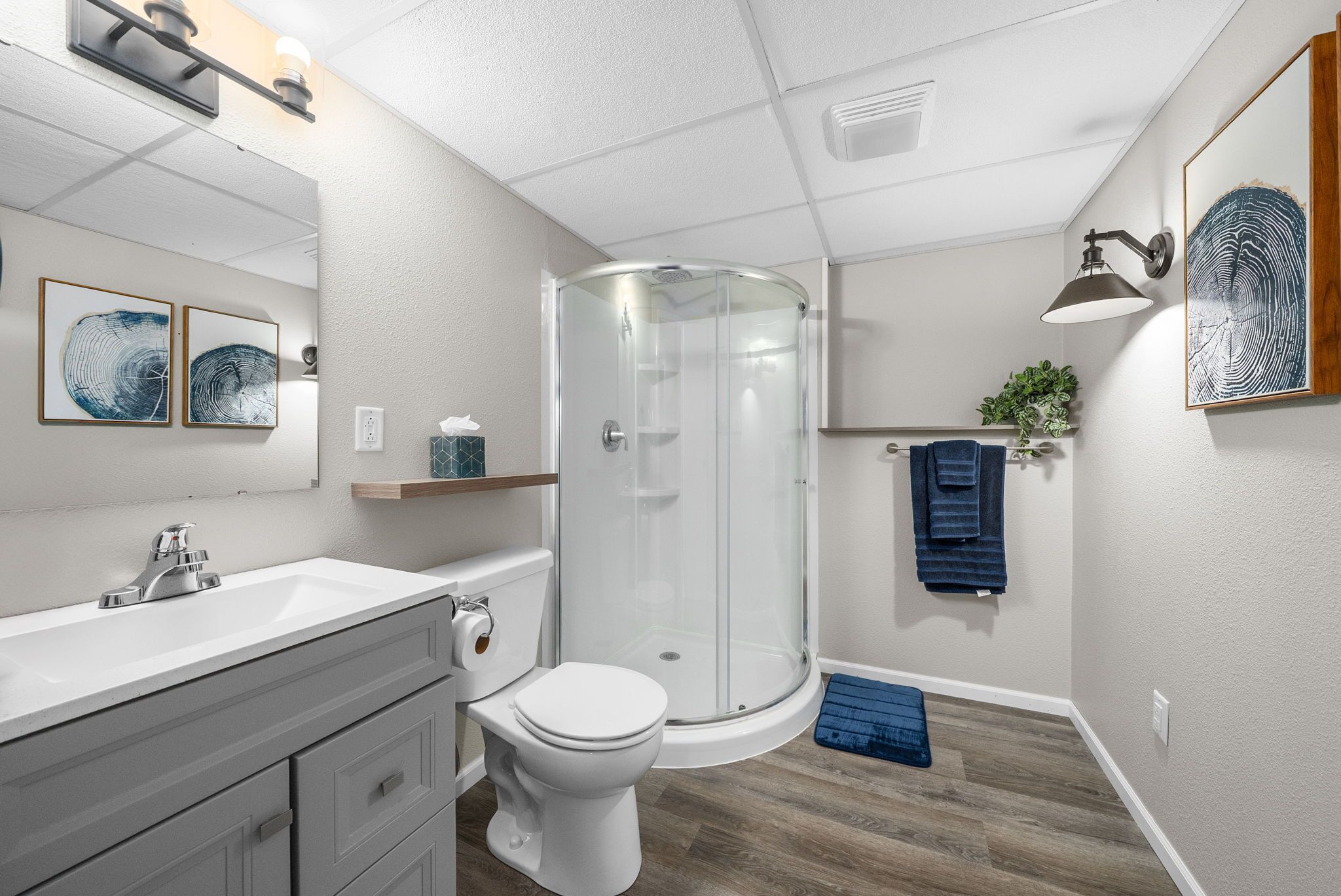 Shower, towels, soap, toilet paper