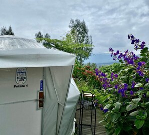 Basic Double Room | Property grounds