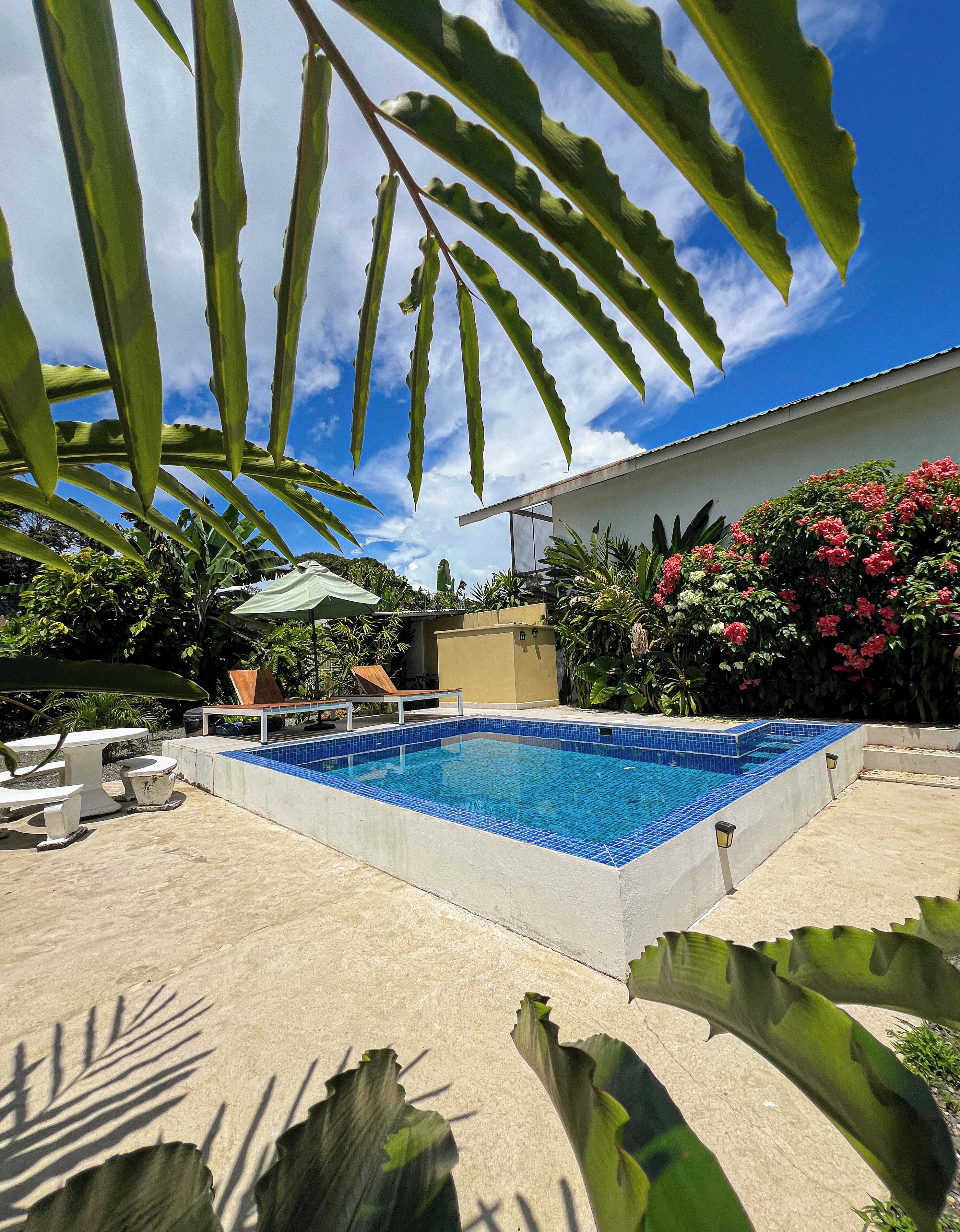 Una piscina rectangular con baldosas azules, rodeada por una solera de concreto y con sombra de hojas verdes grandes.