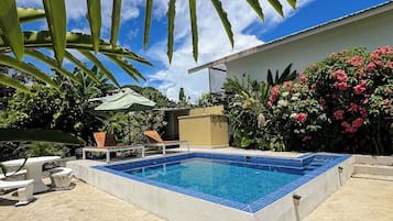 Una piscina rectangular con baldosas azules, rodeada por una solera de concreto y con sombra de hojas verdes grandes.
