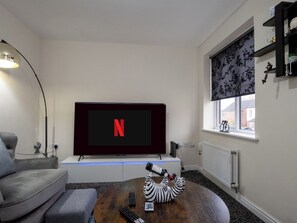 Fernseher