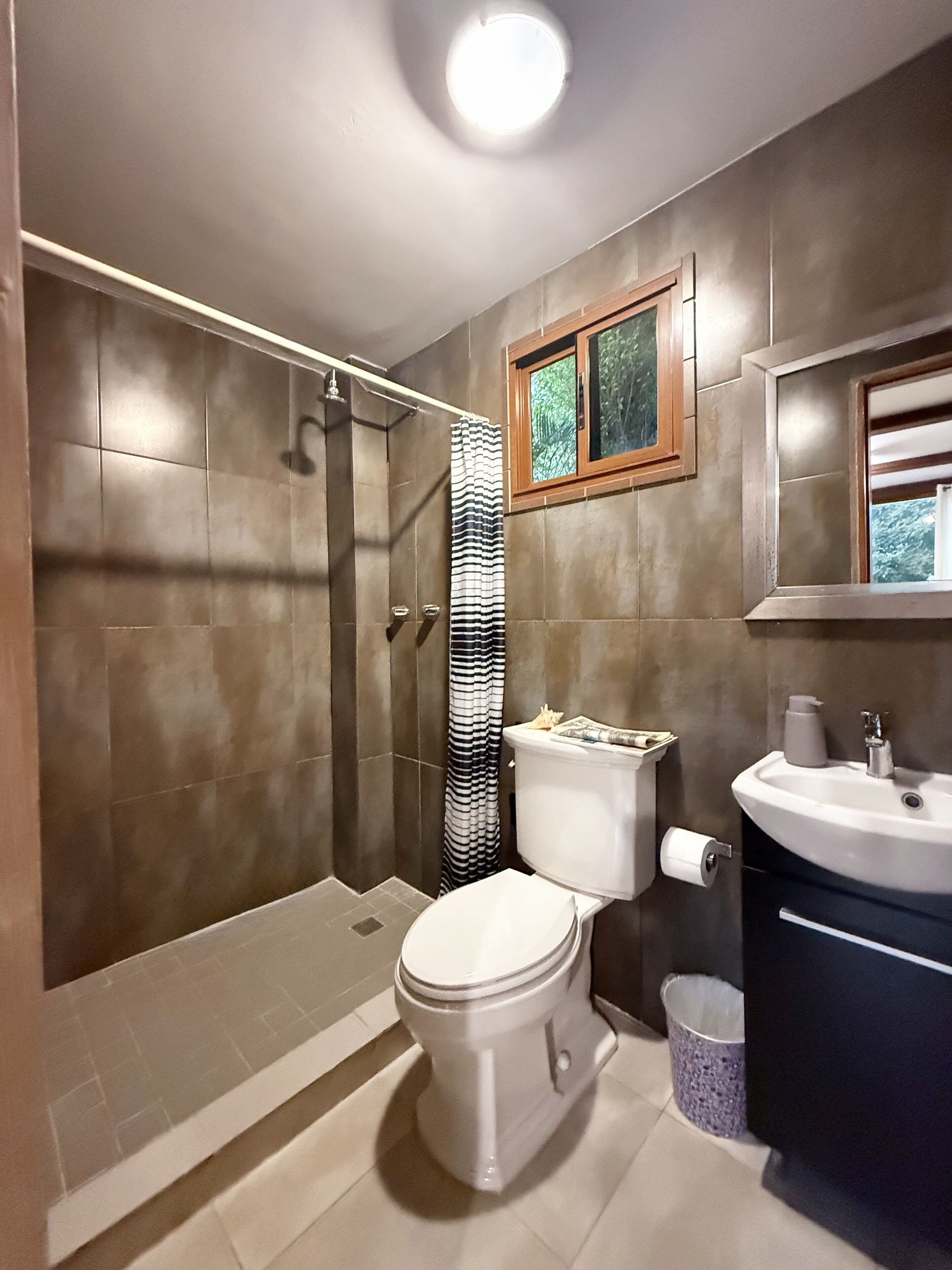 Shower, towels, toilet paper