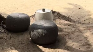 Una spiaggia con una palma e due pouf di vimini sulla sabbia.