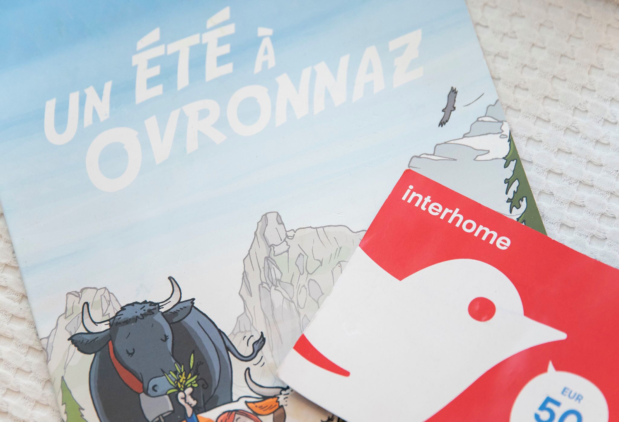 Un livre intitulé « Un été à Ovronnaz », avec une illustration représentant une montagne et une vache.