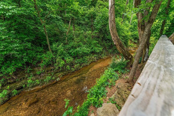 Un pont en bois enjambant un ruisseau dans une zone boisée.