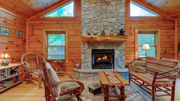 Fireplace, books, video library