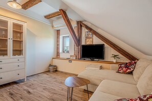 Fernseher