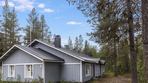 A row of cabins with a gravel path leading to them, surrounded by tall trees.