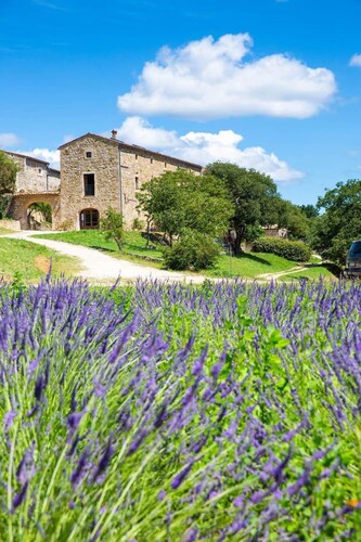 DOMAINE ENTIER - 45 pers