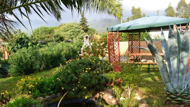 A garden with a pond, a gazebo, and a variety of plants and flowers. - Appartamenti Granseola - Granseola -  Bilocale (Campo nell'Elba)