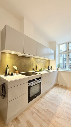Fridge, oven, stovetop, dishwasher - City Apartment in Copenhagen with 3 bedrooms sleeps 4 (Copenhagen)