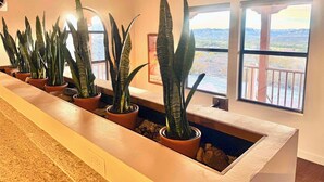 Un couloir bordé de plantes en pot, avec des poutres en bois au plafond et une vue sur un paysage montagneux grâce à de grandes fenêtres.