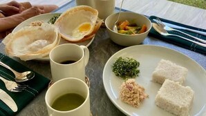 Una mesa con un plato de arroz, un huevo frito y una guarnición de verduras, acompañado de dos tazas de té.