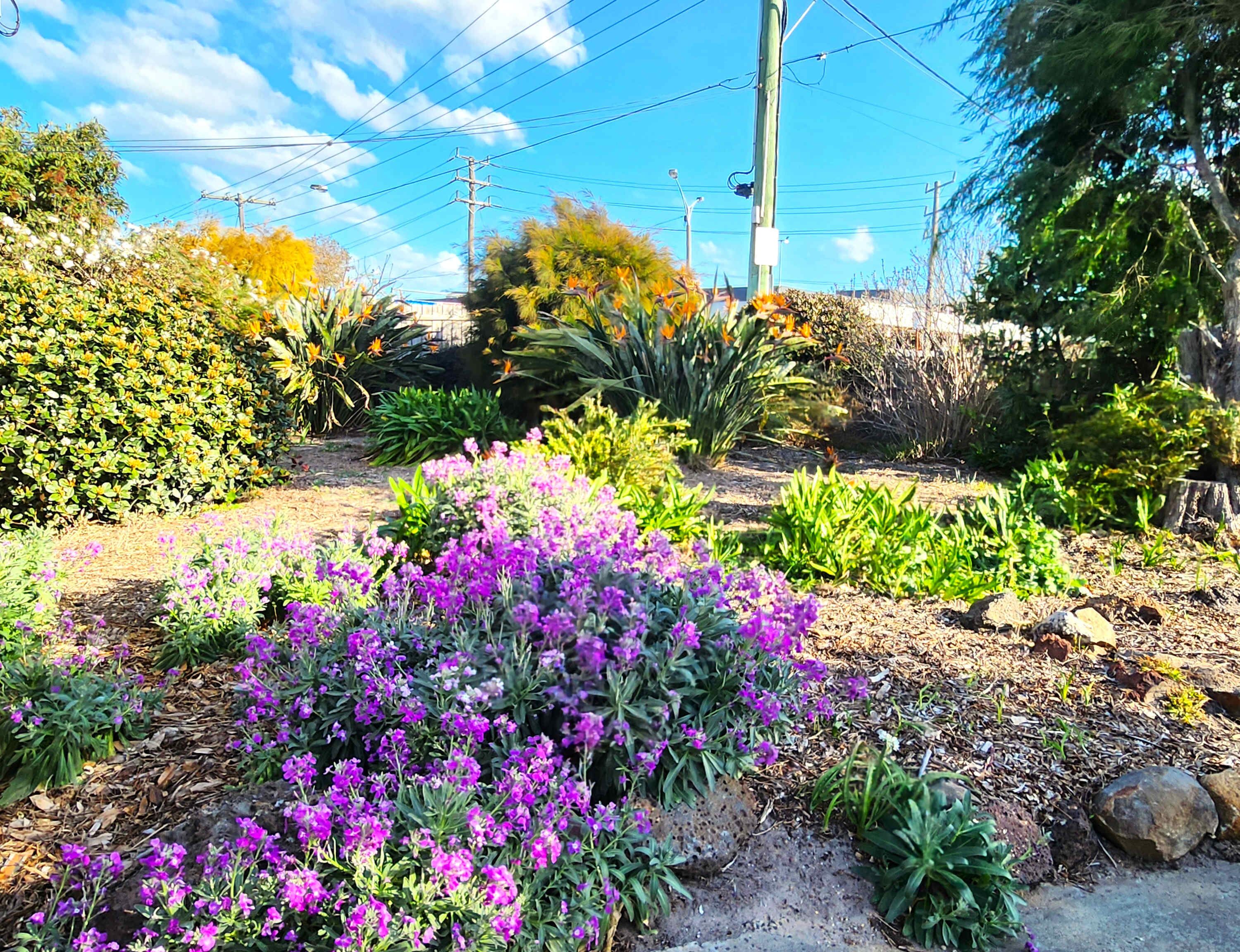 Áreas de la propiedad