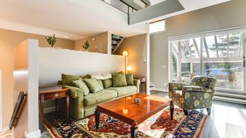 TV, fireplace, books