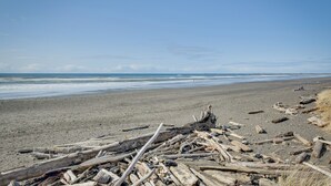 Een strand met drijfhout en een heldere lucht.