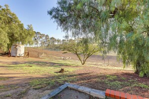 المنطقة المحيطة بالمنشأة