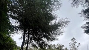 Une route de campagne mène à un petit bâtiment aux toits rouges, bordé de chaque côté d’une clôture en bois peinte en blanc.