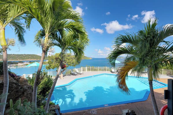 A heated pool - Oceanview retreat at Point Pleasant Resort, USVI (St. Thomas)