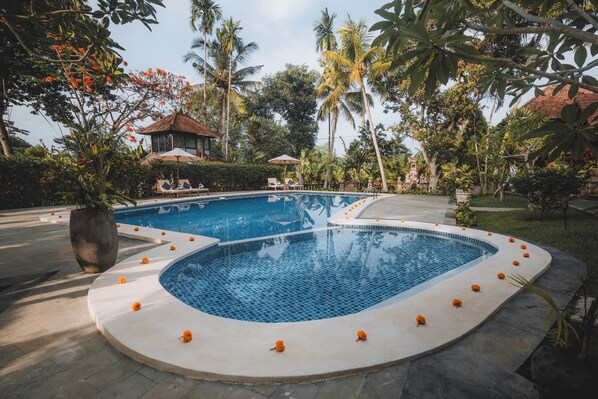 Outdoor pool - Om Wellness Resort (Ubud)