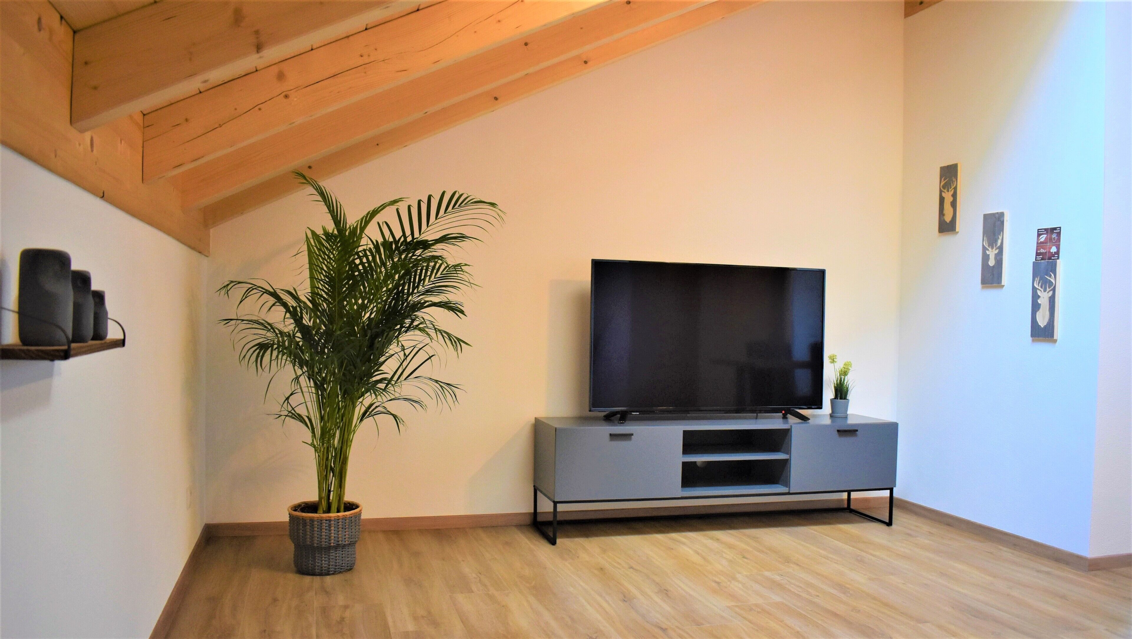 A modern living room with a flat-screen TV on a grey console, a large potted plant, and wooden beams on the ceiling.