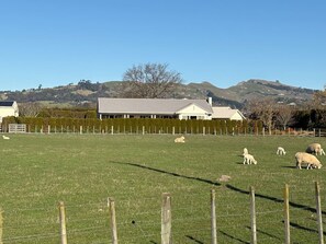 Property grounds - Walk to wineries - large home (Havelock North)