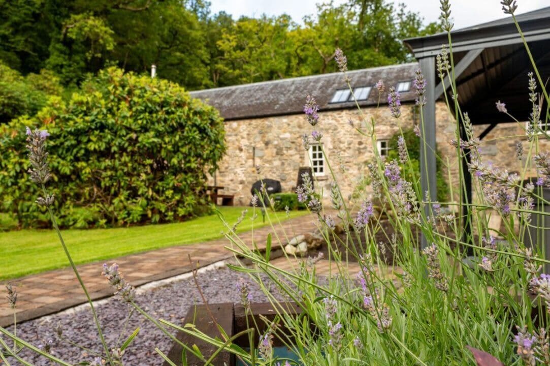 المنطقة المحيطة بالمنشأة