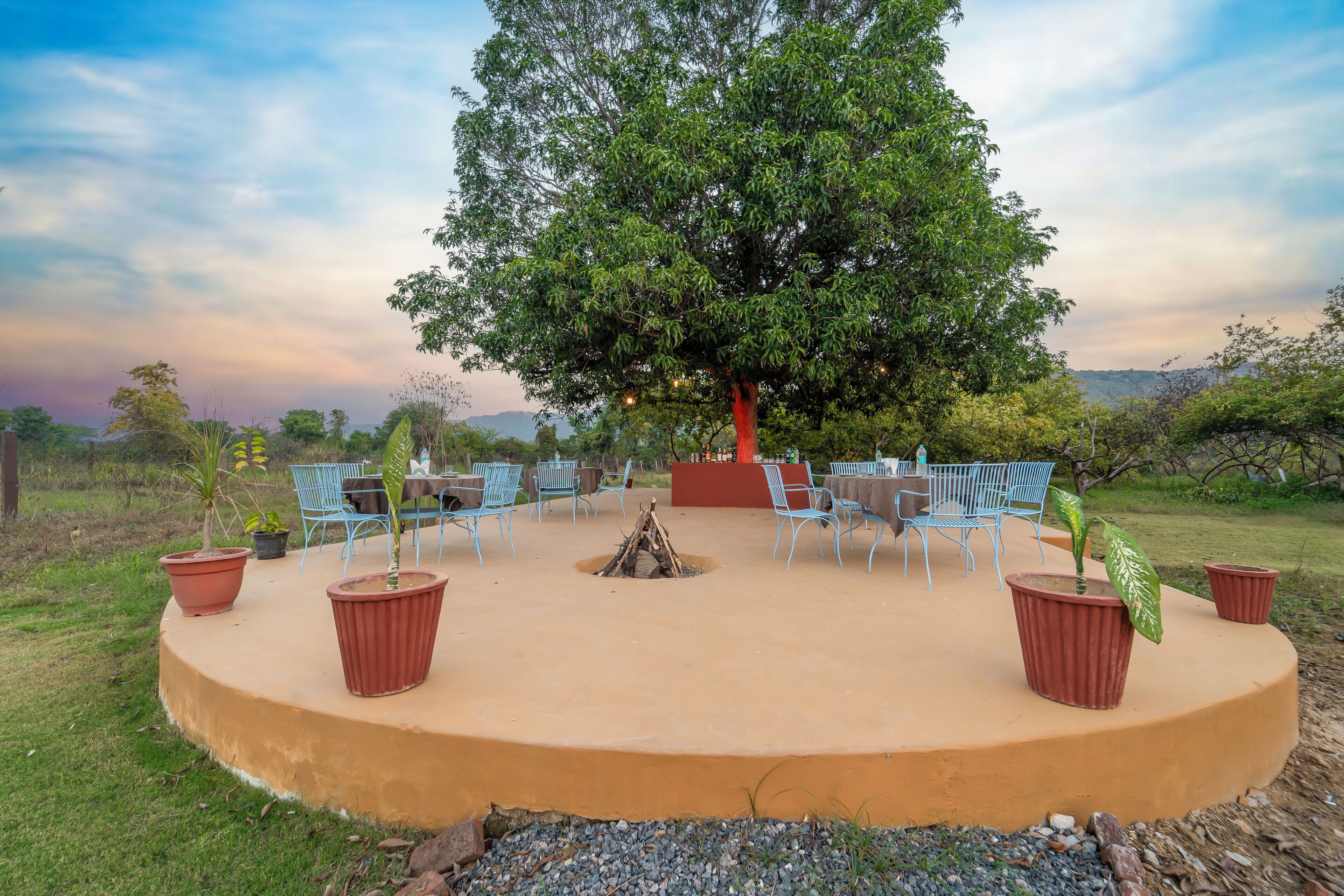 An outdoor seating area with a fire pit, surrounded by potted plants and blue chairs, set against a backdrop of trees and a clear sky.