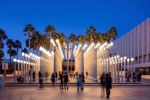 An outdoor area with palm trees and a row of evenly spaced columns with lights. - Beautiful Yard 7 Rooms 4 Bathrooms Near Disneyland (Hacienda Heights)