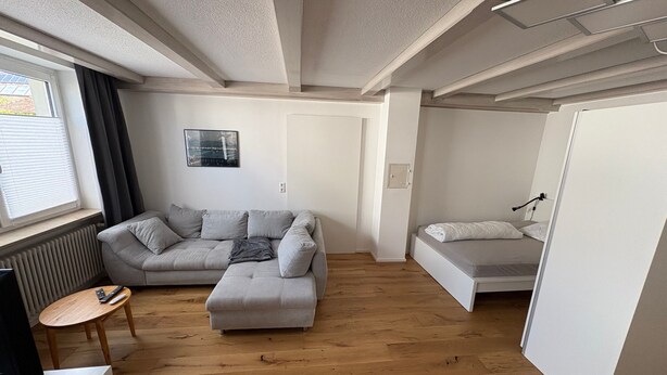 A modern, compact living space with a sofa, a small table, a bed, and a radiator.