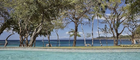 A swimming pool with a wooden deck, surrounded by trees and overlooking a clear blue sea.