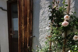 Detalle del exterior