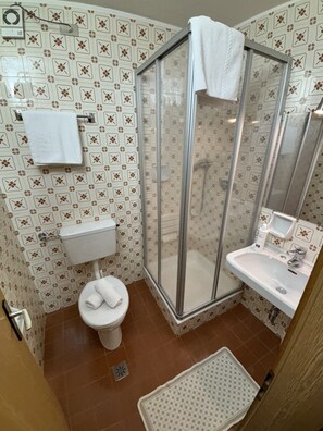 Hair dryer, towels, shampoo, toilet paper