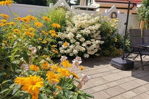 Terrace/patio - Holiday home in Zingst with swimming pool (Zingst)