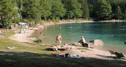 Holiday home in Ebensee with swimming pool