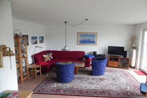 Smart TV, caminetto, lettore DVD, libri