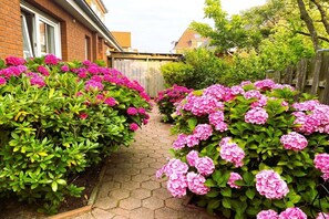Property grounds - Holiday apartment with 1 bedroom (Borkum)