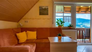 Télévision, table de tennis de table, chaßne hi-fi