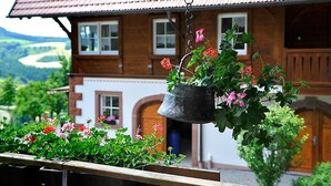 Uma casa de madeira com telhado inclinado, um vaso suspenso com flores vermelhas e uma vista de colinas verdes ao fundo.