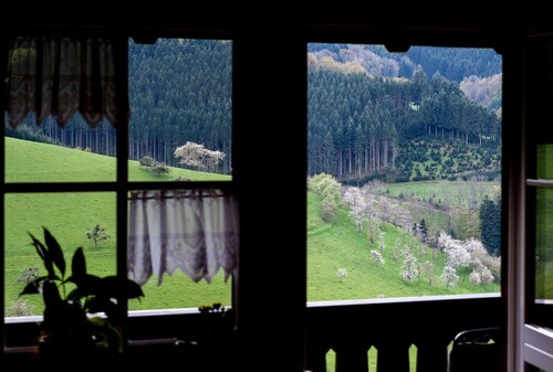 Apartment 'Talblick' mit Gemeinschaftsgarten, Balkon und WLAN