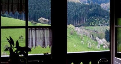 Apartment 'Talblick' mit Gemeinschaftsgarten, Balkon und WLAN