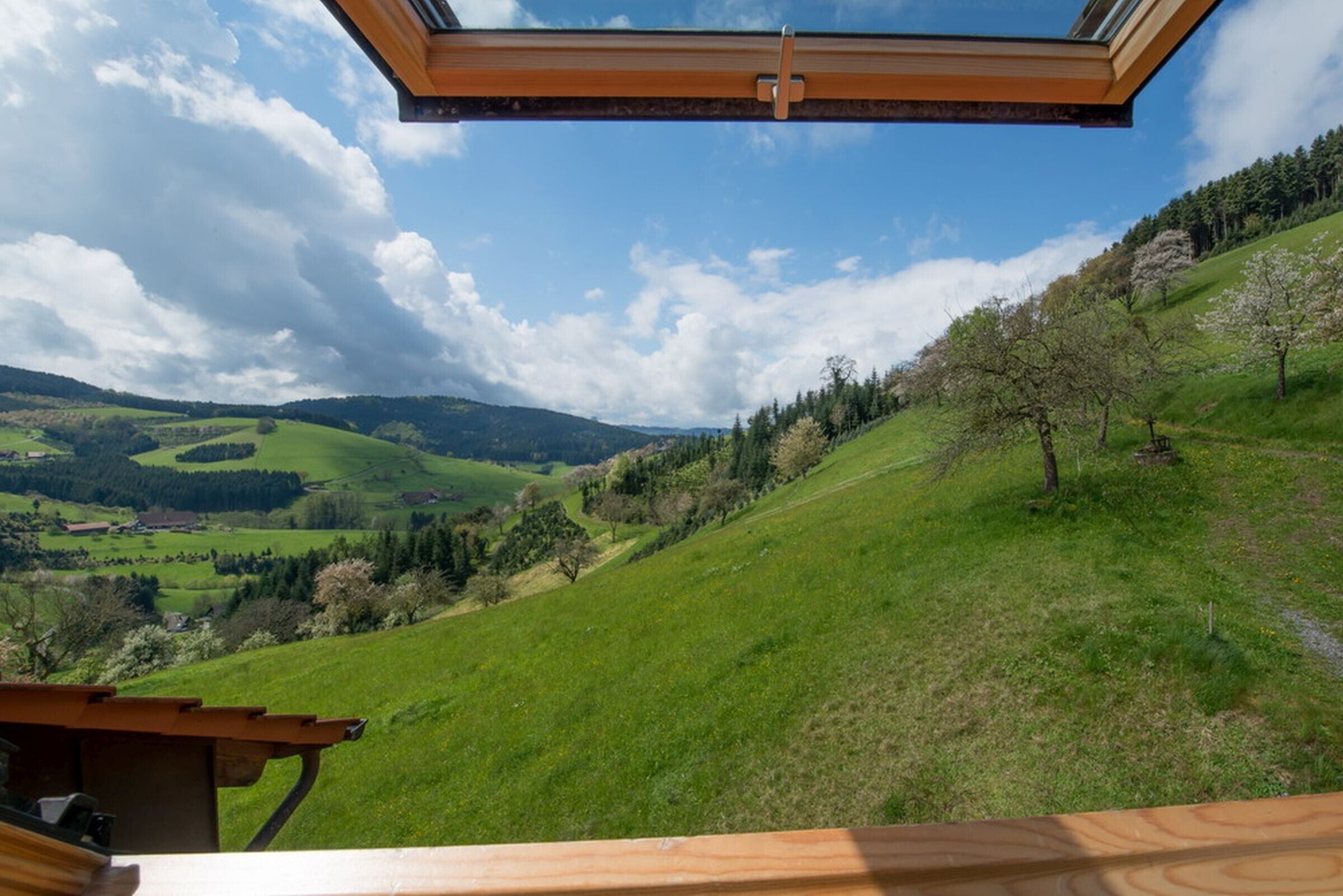 Blick von einer Holzdielen-Terrasse mit Glasüberdachung auf ein grünes Tal mit Bäumen und entfernten Hügeln.