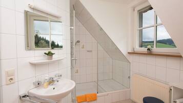 Shower, hair dryer, towels