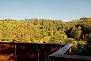 Property grounds - Tannenhäuschen Sauerland (Schmallenberg-Oberkirchen)