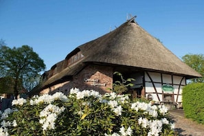 Exterior - Superior Studio in the Manor House (Bastorf)