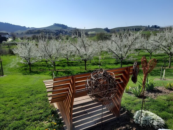 Parco della struttura