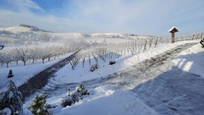 A snow-covered vineyard with a wooden structure and a clear sky. - Apartment 'Am Weinberg' with Garden, Balcony and Wi-Fi (Oberkirch)