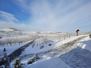 Viñedo cubierto de nieve con una estructura de madera y cielo despejado.