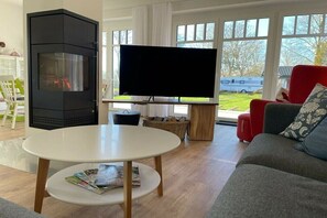 Smart-TV, Kamin