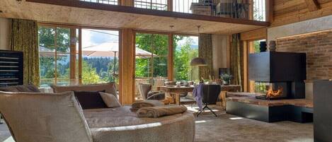 智能電視、壁爐、書籍、音響